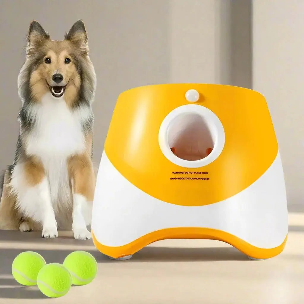 Best Automatic Dog Ball Launcher